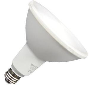 Lampada PAR38 LED 14W E27 Luce Natura